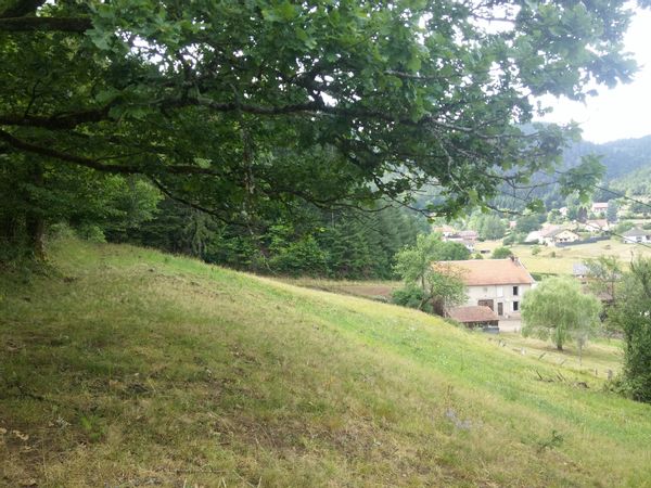 La Maison de Sam & Cie