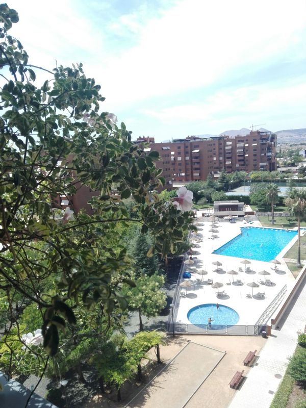 home