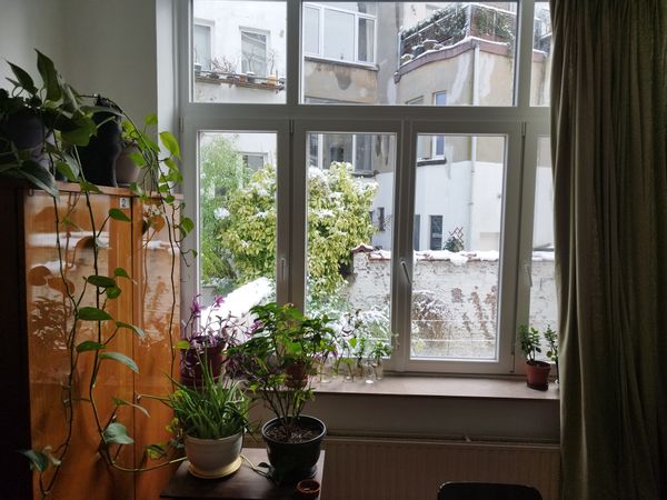 Appartement bruxellois avec jardin