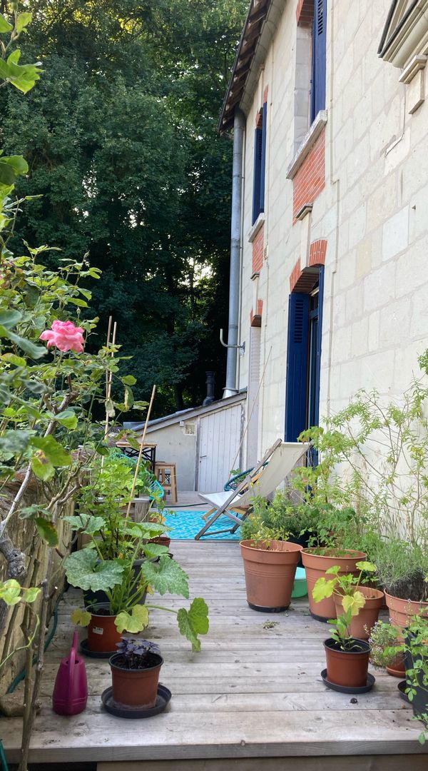 Entre vigne, ville et nature : c'est Saumur !