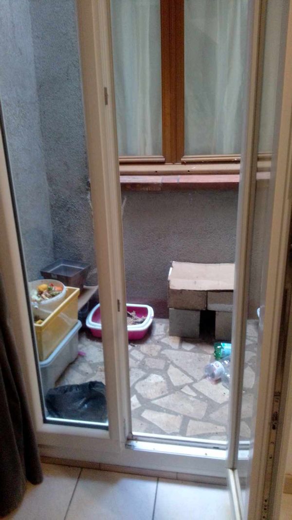 Anaïs's house
