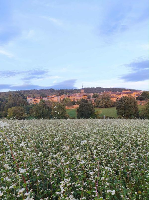 La ferme saint Michel