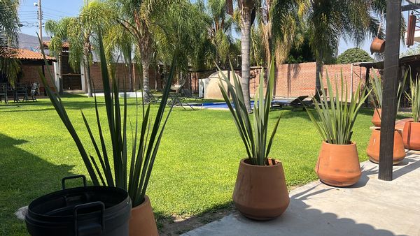 La maison de Tania Leticia