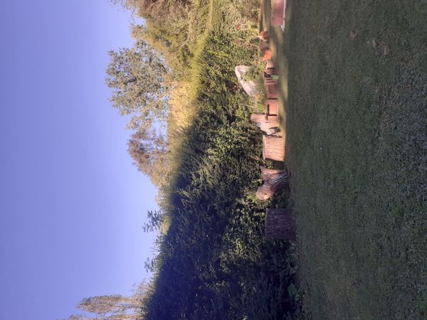 home