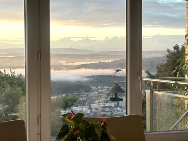 Chambre privée de Michaela