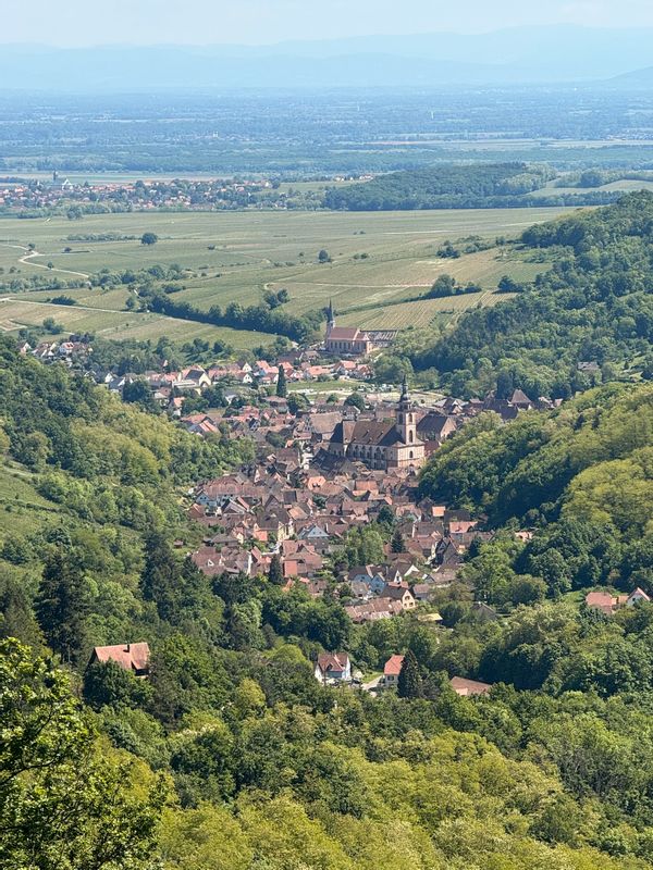 Appartement 2 chambres lits doubles au coeur des vignes dans un charmant village alsacien.