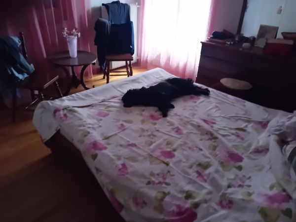 Casa di MIHAELA