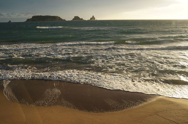 Un appartement à la mer.