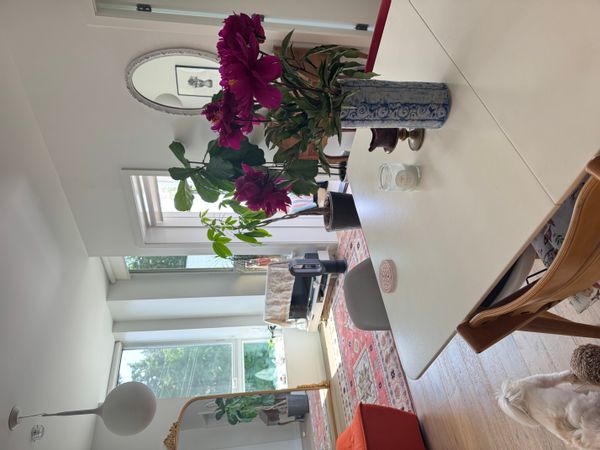 La maison de Natsuko