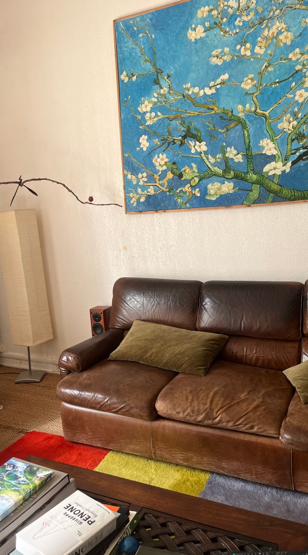 Zoé's house