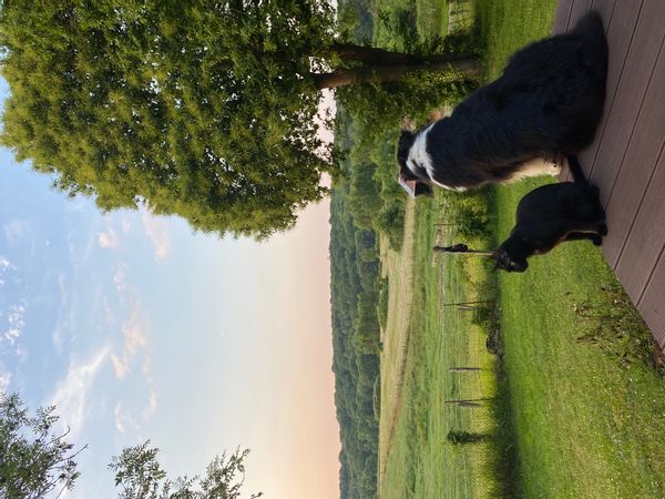 Near Paris, Versailles & Normandy, our fully renovated house in the ❤️ of a natural park