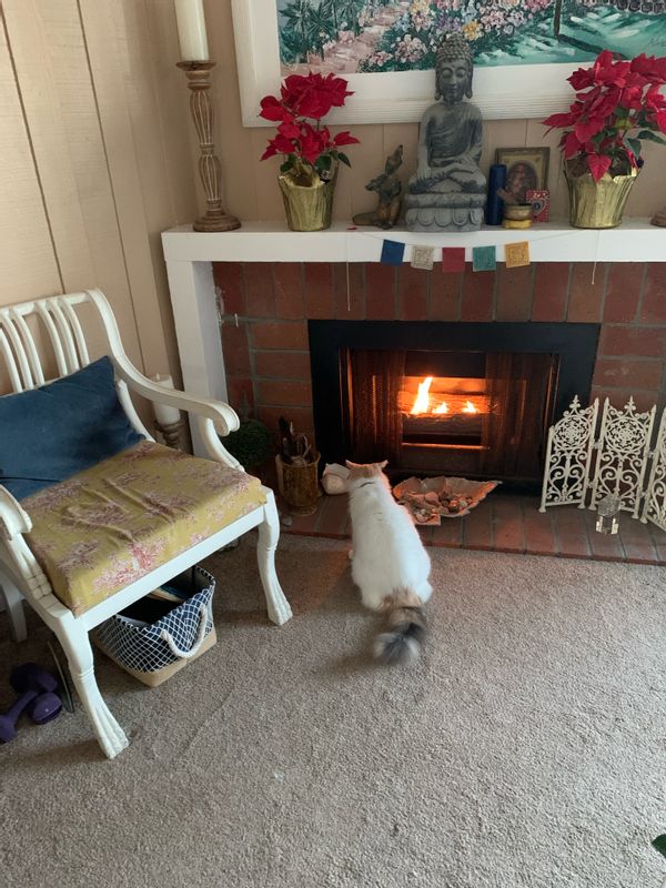 Susan’s private room