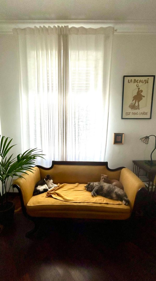 Caterina's house
