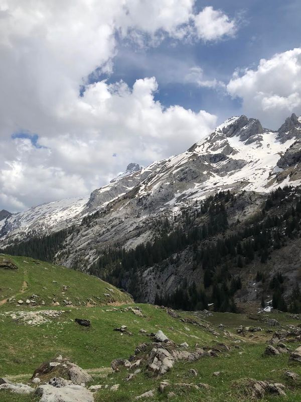 Près du lac et dans un parc aux écureuils