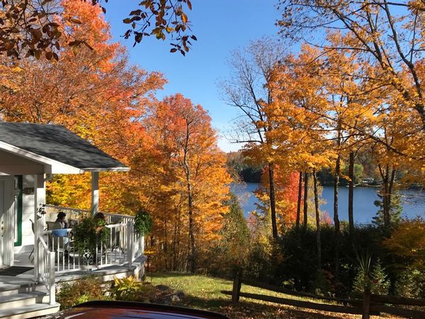 Séjour nature tout confort avec vue sur le lac