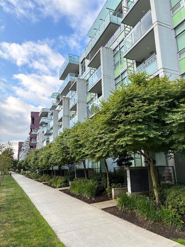2-bed apartment in great Central Vancouver neighborhood close to QE park,Van Dusen Garden,Sky train.