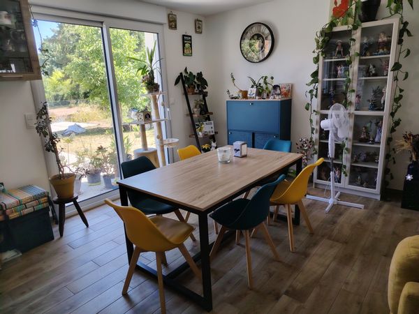 Maison Neuve à Azay-Le-Rideau