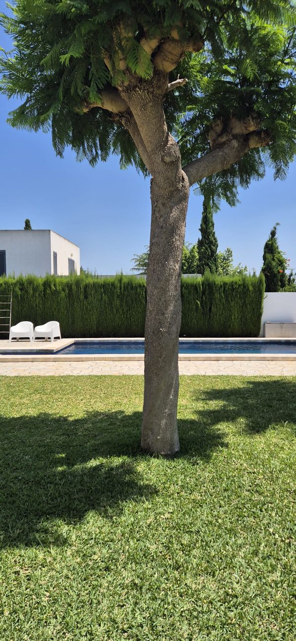 Inmaculada's house