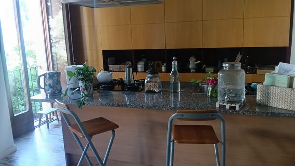 Rosana's house