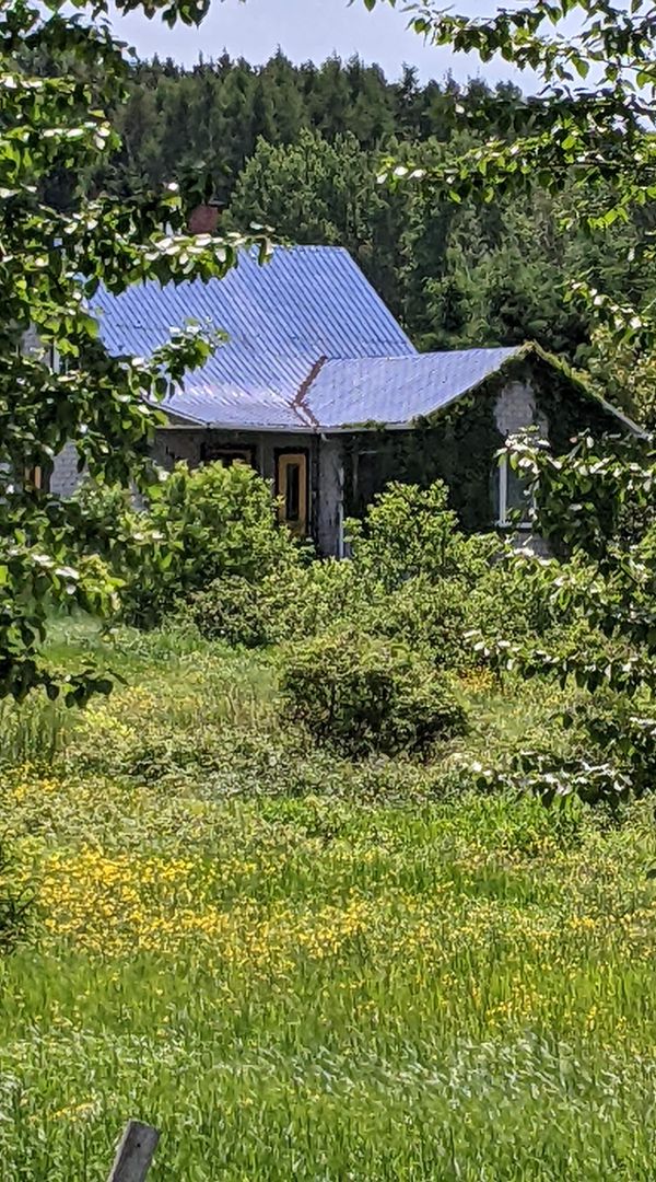 Alexandra's house