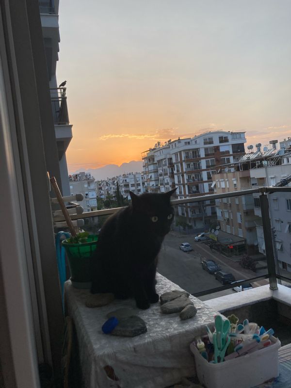 La maison de Özgür