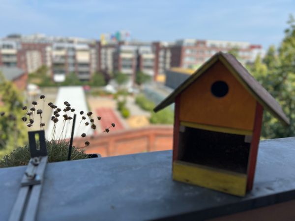 Annes hus