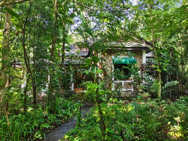 Forest cottage