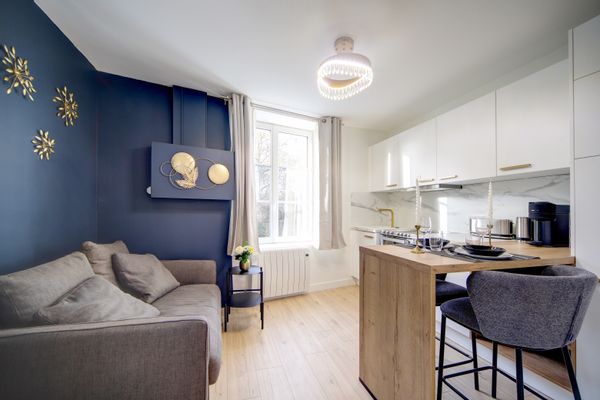 La Suite du Roi Henri - studio haut de gamme au coeur des chateaux de la Loire