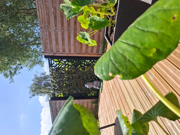 Suzanne's house