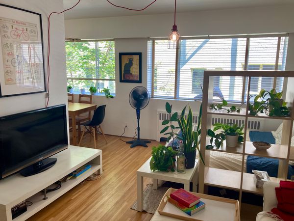 Downtown Studio next to the ocean and stanley park