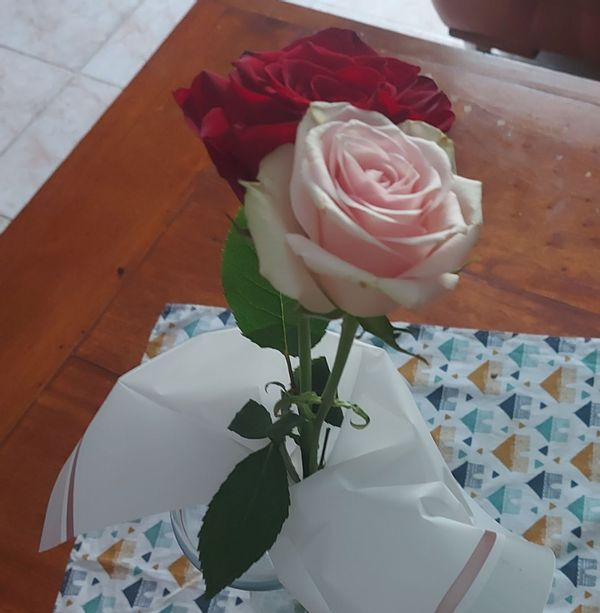 Marie Ange's house