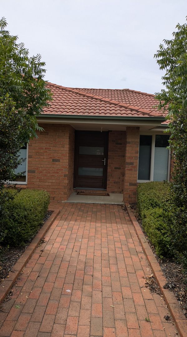 Peaceful Canberra Home by Wildlife Reserve