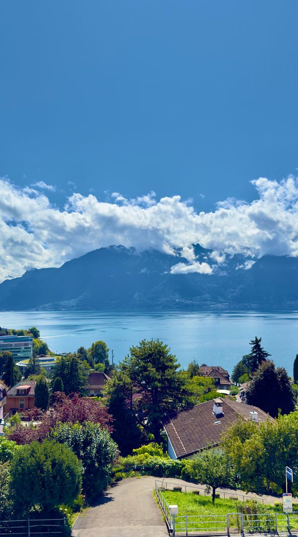 Vue stupéfiante sur le lac et petit chat cool!