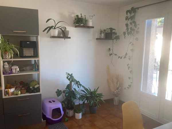 Casa de Julie