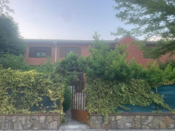 Alicia's house