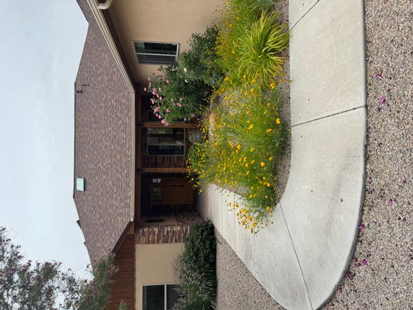 Shawn's house