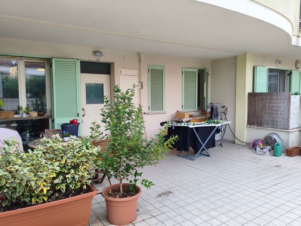 Casa de David