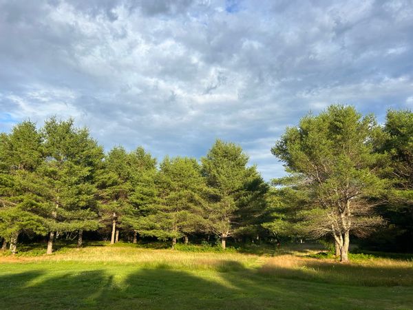 La maison de Michelle