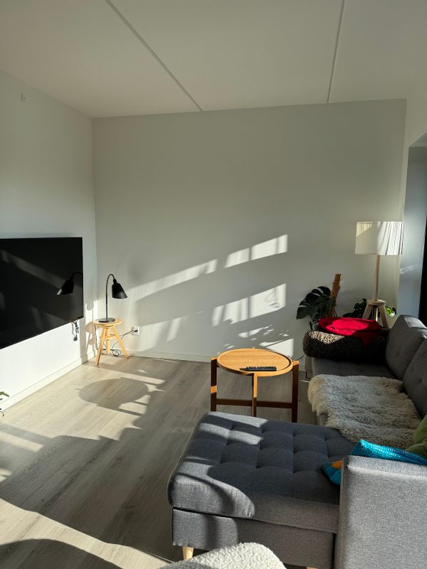Larss hus