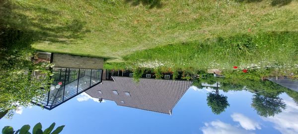 Woonboerderij met orangerie en boomgaard gelegen aan Nationaal Park Drents Friese Wold