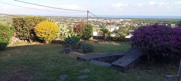 nathalie's house