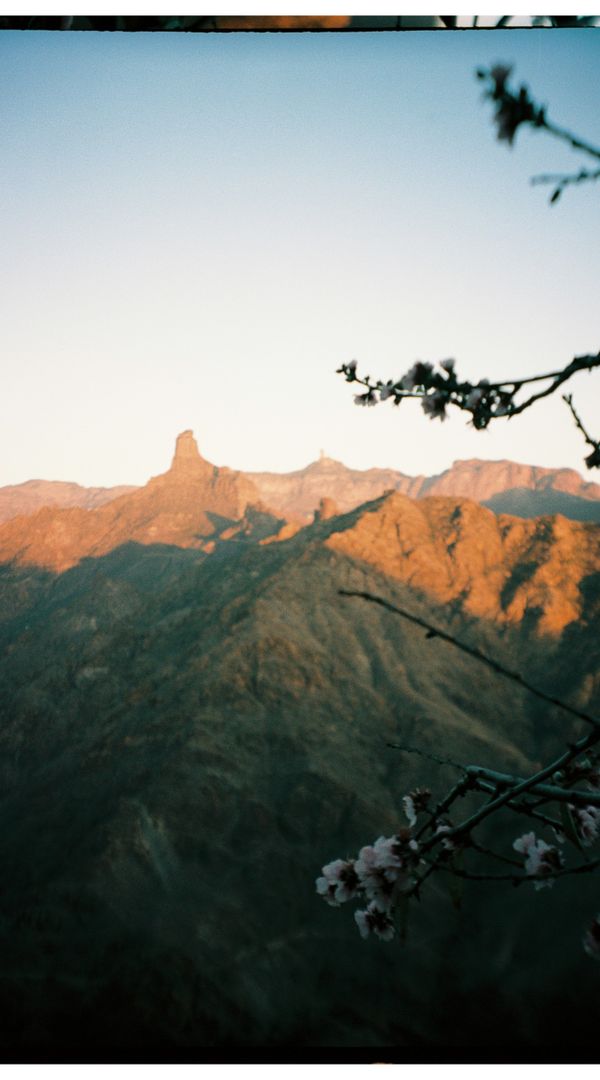 La maison de Amalia y Manuel