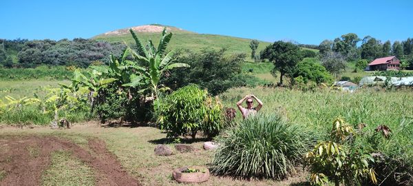 La maison de Constanza y Hernan