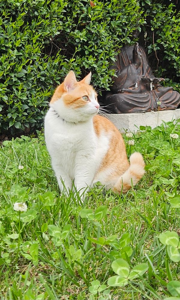 Maison lumineuse aux abords de Barcelone