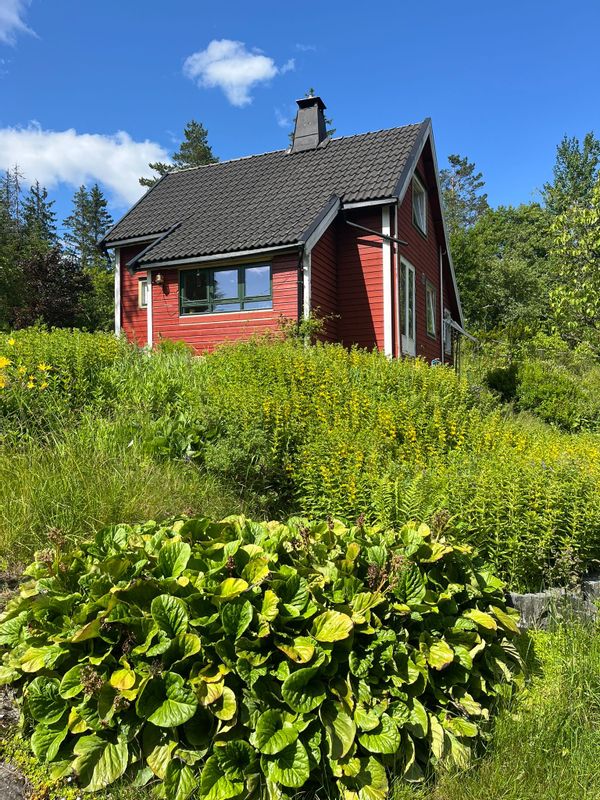Casa di laurieke