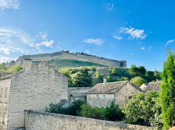 ⚜️ Villeneuve-les-Avignon : maison de village avec jardin et piscine