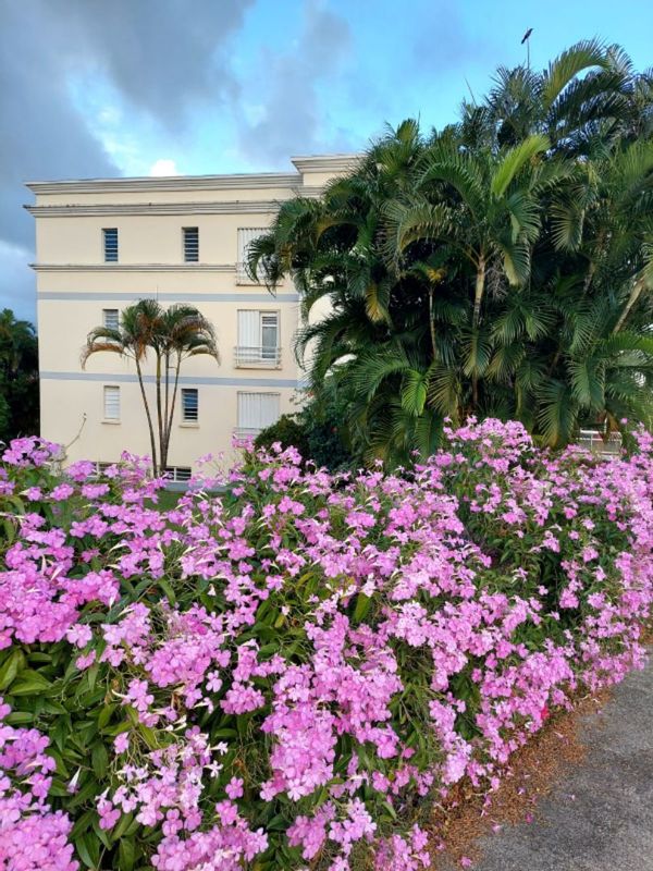 Appartement sécurisé au cœur d'Acajou