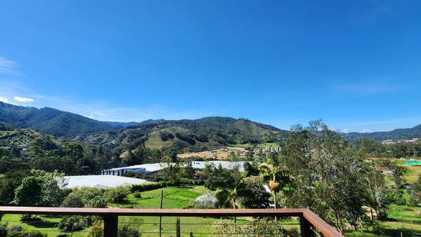 Deli's house
