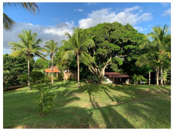 juliano campos's house