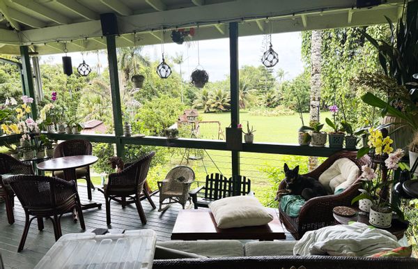Nice, 1560 sf 1 bedroom aptmt on 2nd floor of our home on 3 ac on the epic North Shore of Kaua'i !